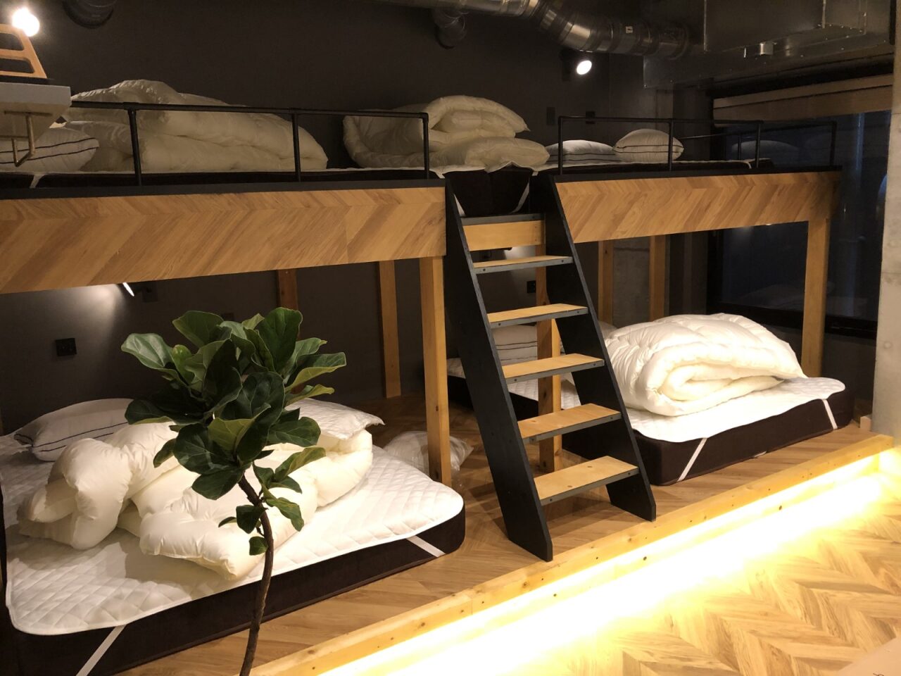 宿泊施設のリビング・寝室内装