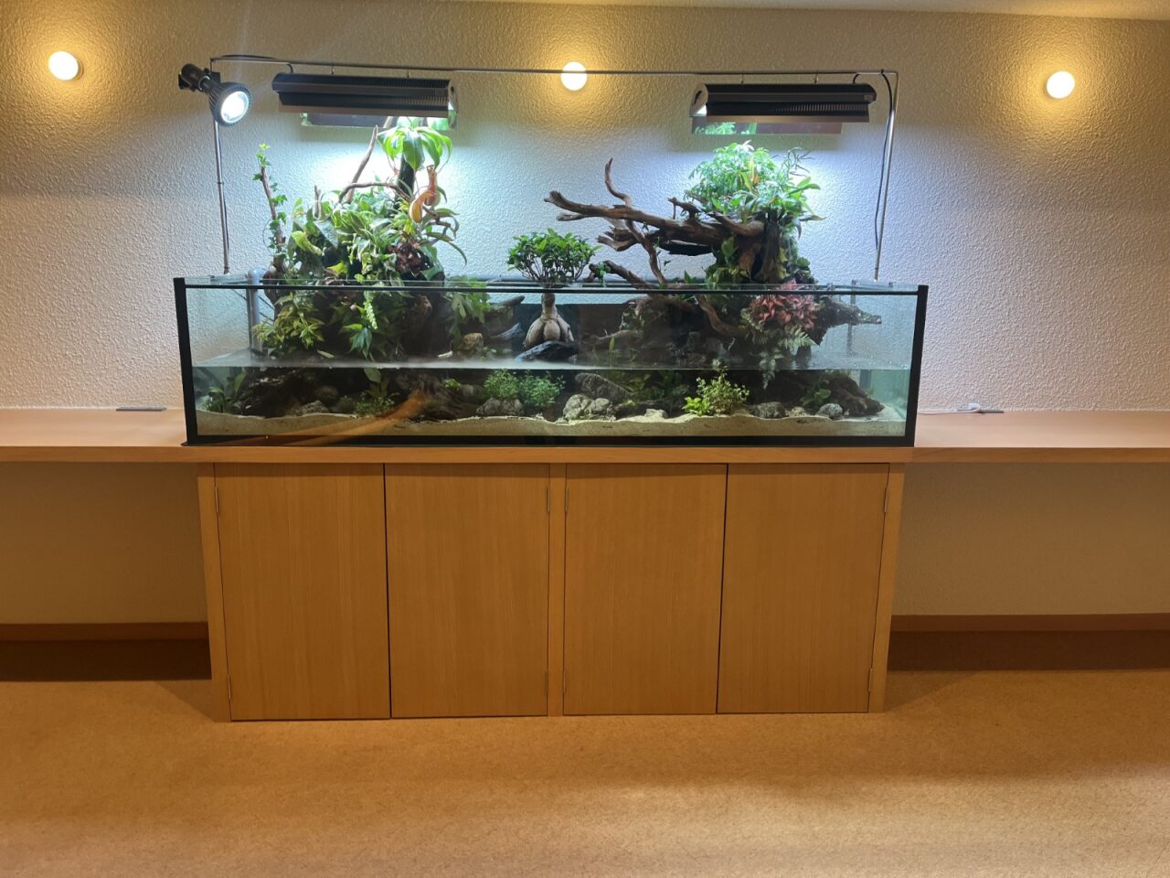 クリニックの受付・待合内装